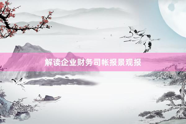 解读企业财务司帐报景观报